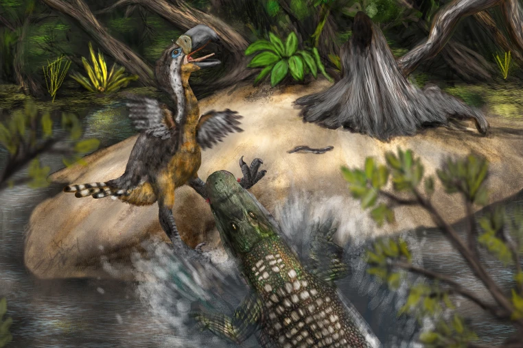 Giant 'Terror Bird' May Have Fallen Prey to Massive Caiman 13 Million Years Ago Giant 'Terror Bird' May Have Fallen Prey to Massive Caiman 13 Million Years Ago
